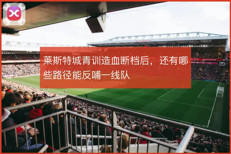 莱斯特城青训造血断档后,还有哪些路径能反哺一线队