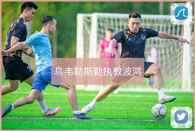 乌韦勒斯勒执教波鸿