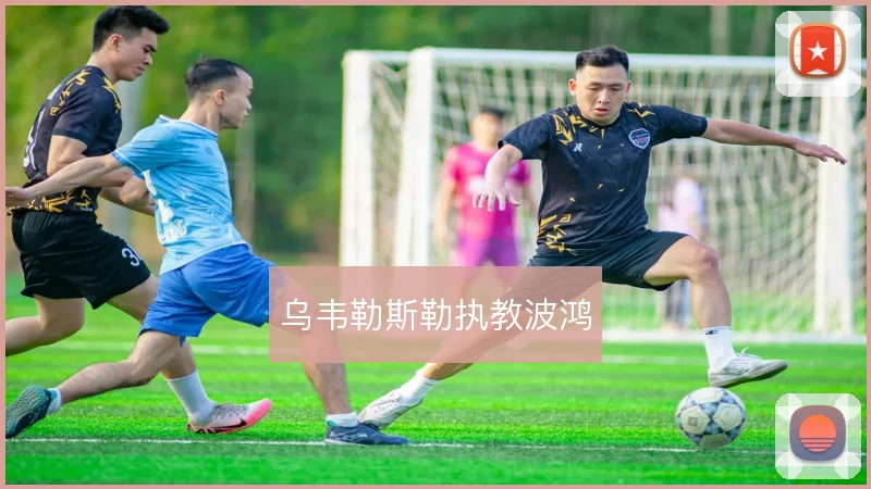 乌韦勒斯勒执教波鸿